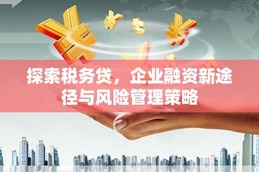 禹会探索税务贷，企业融资新途径与风险管理策略