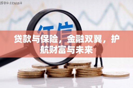 禹会贷款与保险，金融双翼，护航财富与未来