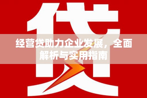 禹会经营贷助力企业发展，全面解析与实用指南