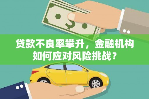 禹会贷款不良率攀升，金融机构如何应对风险挑战？