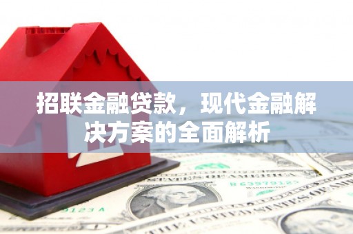 禹会招联金融贷款，现代金融解决方案的全面解析