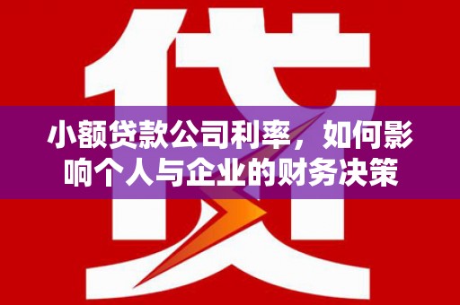 禹会小额贷款公司利率，如何影响个人与企业的财务决策