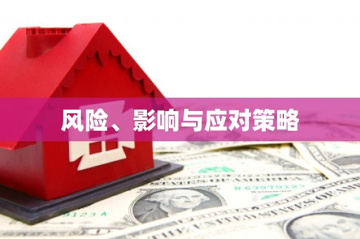 禹会风险、影响与应对策略