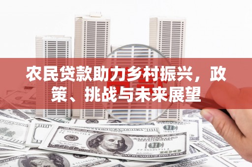禹会农民贷款助力乡村振兴，政策、挑战与未来展望