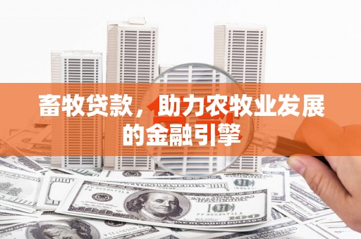 禹会畜牧贷款，助力农牧业发展的金融引擎