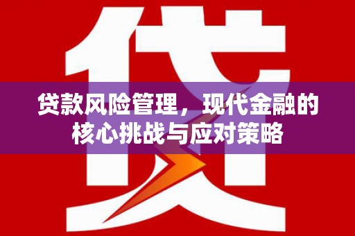 禹会贷款风险管理，现代金融的核心挑战与应对策略