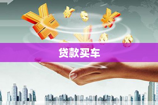 禹会贷款买车