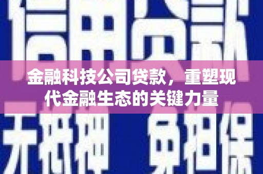 禹会金融科技公司贷款，重塑现代金融生态的关键力量