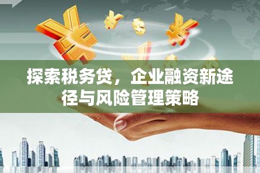 禹会探索税务贷，企业融资新途径与风险管理策略