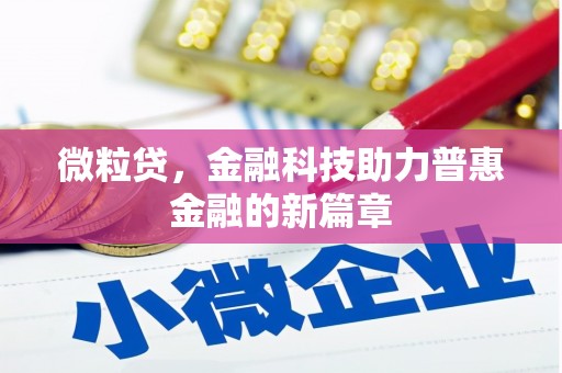 禹会微粒贷，金融科技助力普惠金融的新篇章