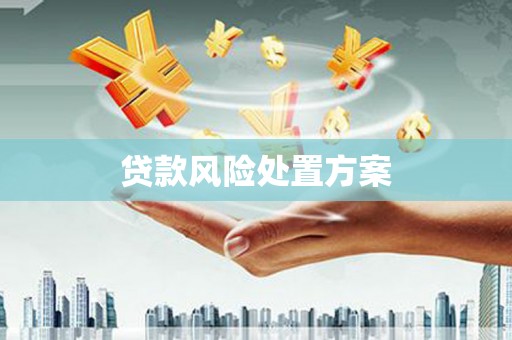 禹会贷款风险处置方案