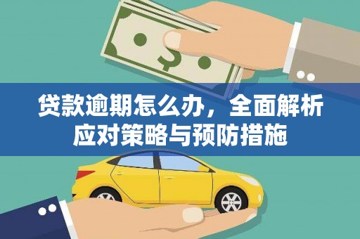 禹会贷款逾期怎么办，全面解析应对策略与预防措施