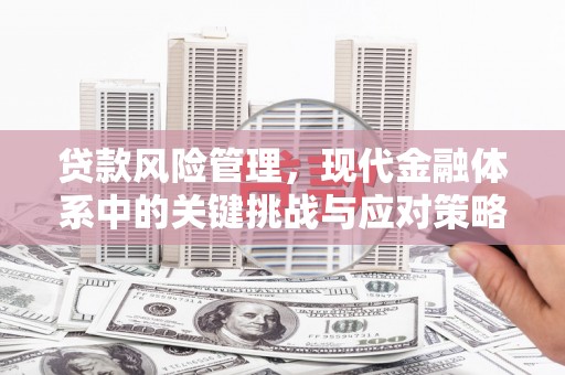 禹会贷款风险管理，现代金融体系中的关键挑战与应对策略