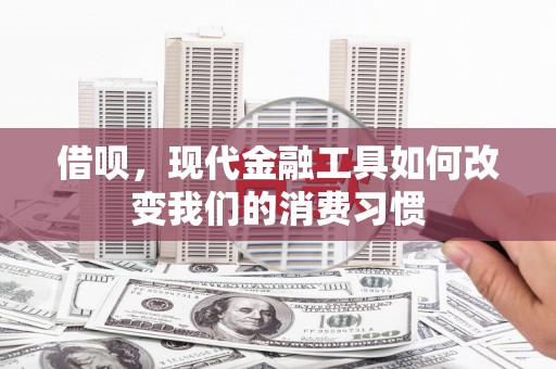 禹会借呗，现代金融工具如何改变我们的消费习惯
