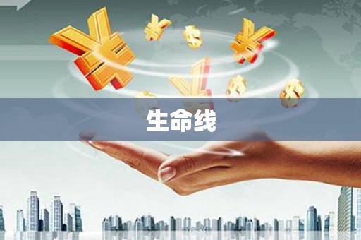 禹会生命线