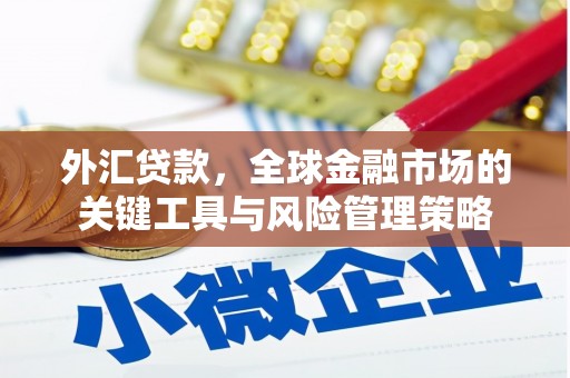 禹会外汇贷款，全球金融市场的关键工具与风险管理策略