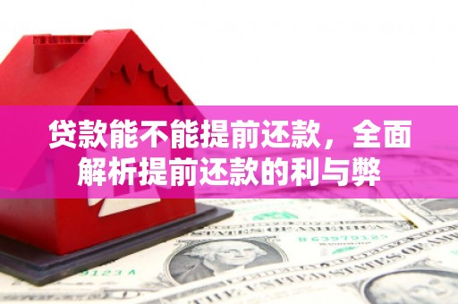禹会贷款能不能提前还款，全面解析提前还款的利与弊