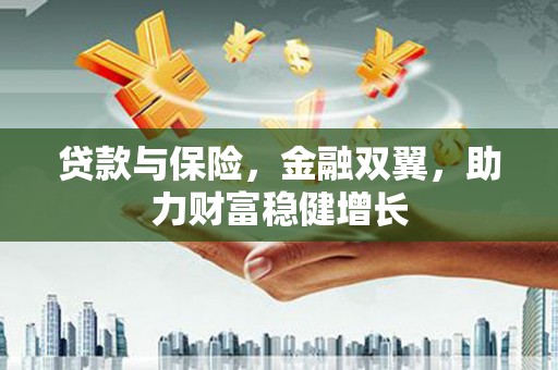 禹会贷款与保险，金融双翼，助力财富稳健增长