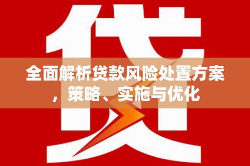 禹会全面解析贷款风险处置方案，策略、实施与优化