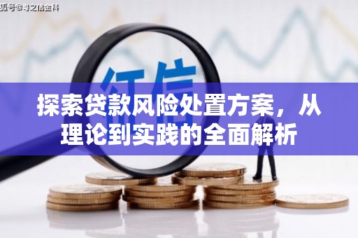 禹会探索贷款风险处置方案，从理论到实践的全面解析
