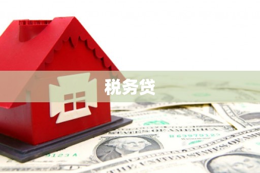 禹会税务贷
