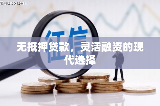 禹会无抵押贷款，灵活融资的现代选择