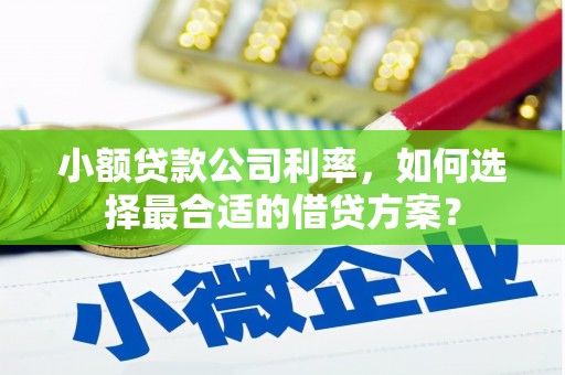 禹会小额贷款公司利率，如何选择最合适的借贷方案？