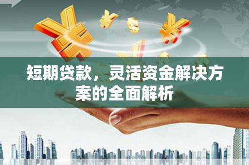 禹会短期贷款，灵活资金解决方案的全面解析