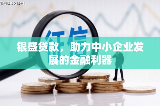 禹会银盛贷款，助力中小企业发展的金融利器
