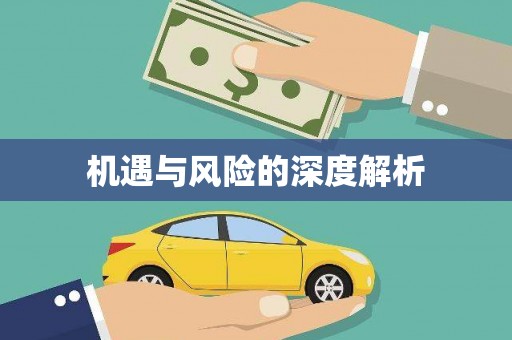 禹会机遇与风险的深度解析