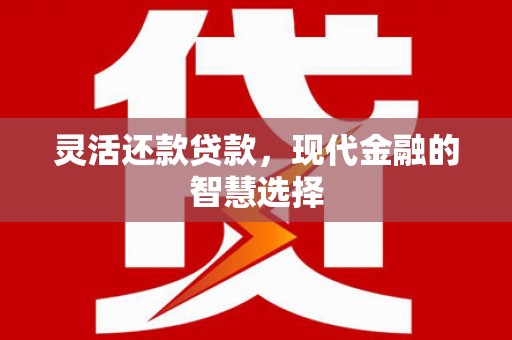 禹会灵活还款贷款，现代金融的智慧选择