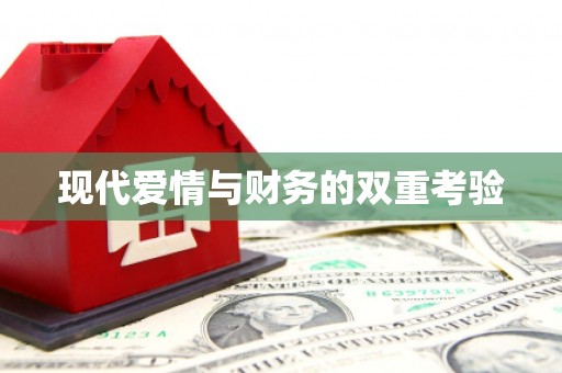 禹会现代爱情与财务的双重考验
