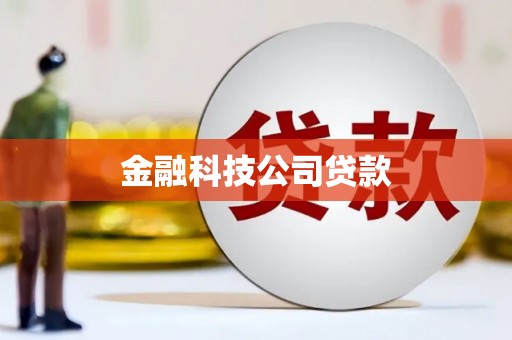 禹会金融科技公司贷款