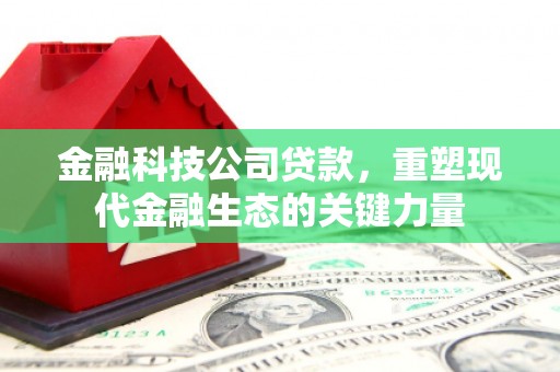 禹会金融科技公司贷款，重塑现代金融生态的关键力量