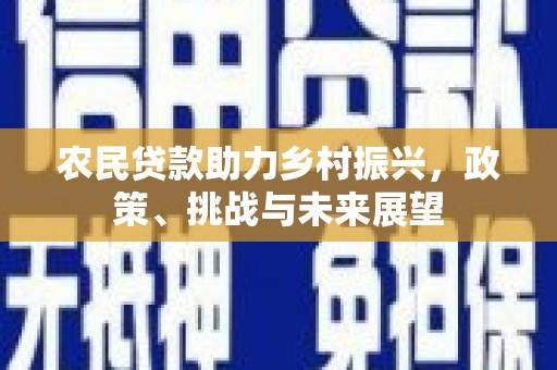 禹会农民贷款助力乡村振兴，政策、挑战与未来展望