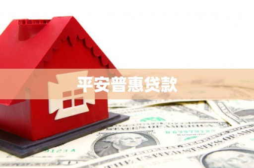 禹会平安普惠贷款