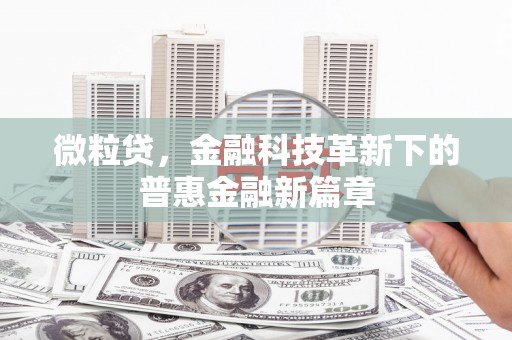 禹会微粒贷，金融科技革新下的普惠金融新篇章
