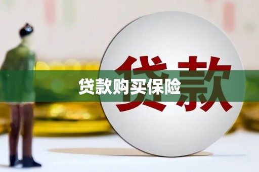 禹会贷款购买保险