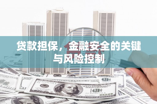 禹会贷款担保，金融安全的关键与风险控制
