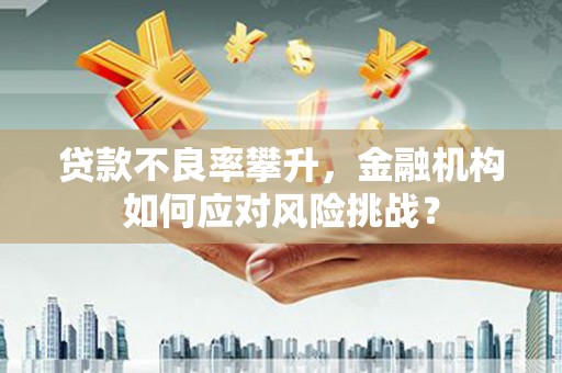 禹会贷款不良率攀升，金融机构如何应对风险挑战？
