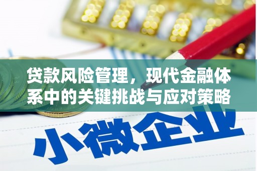 禹会贷款风险管理，现代金融体系中的关键挑战与应对策略