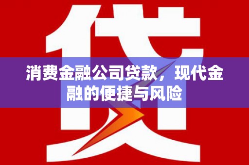 禹会消费金融公司贷款，现代金融的便捷与风险