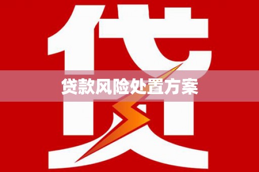 禹会贷款风险处置方案