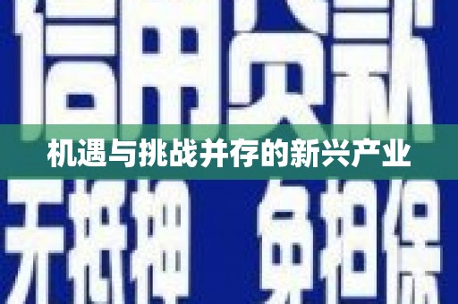 禹会机遇与挑战并存的新兴产业