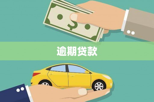 禹会逾期贷款