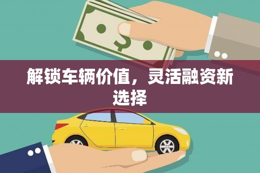 禹会解锁车辆价值，灵活融资新选择