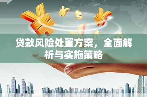 禹会贷款风险处置方案，全面解析与实施策略