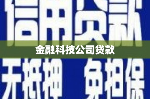 禹会金融科技公司贷款