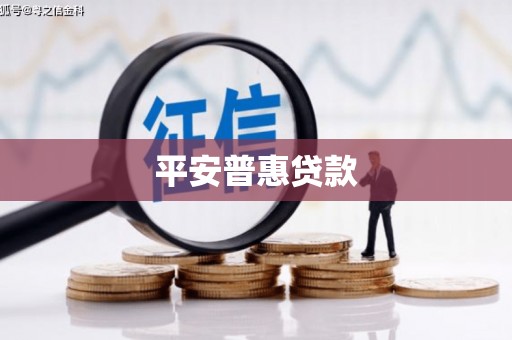 禹会平安普惠贷款